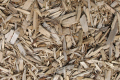 biomass boilers Trebartha