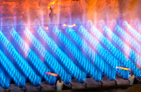 Trebartha gas fired boilers